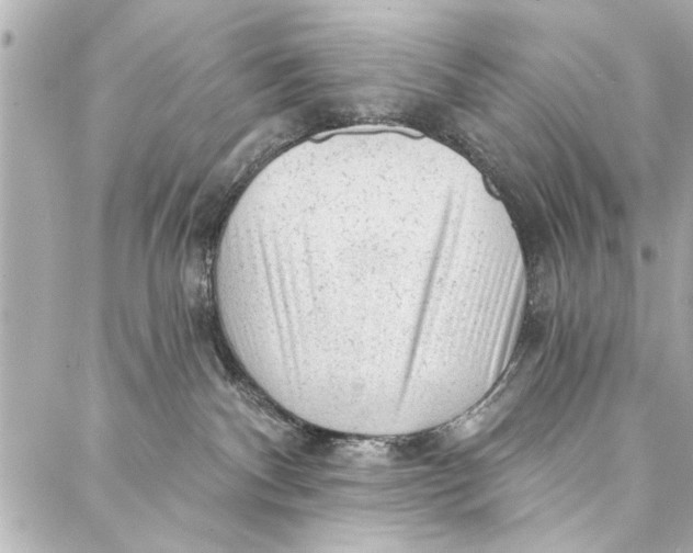 X0000086950140200705071452