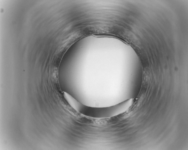 X0000086950141200705071452