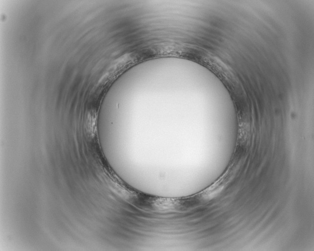 X0000086950142200705071452