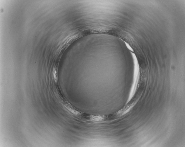 X0000086950143200705071452