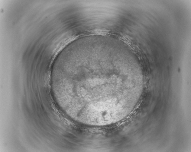 X0000086950146200705071452