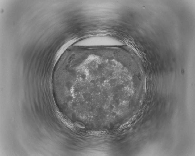 X0000086950147200705071452