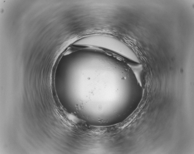 X0000086950148200705071452