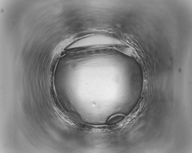 X0000086950149200705071452