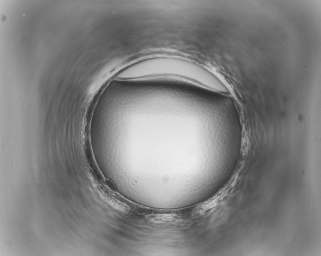 X0000086950151200705071452