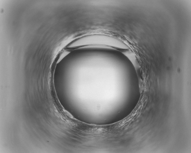 X0000086950152200705071452