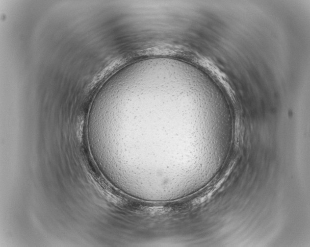 X0000086950153200705071452