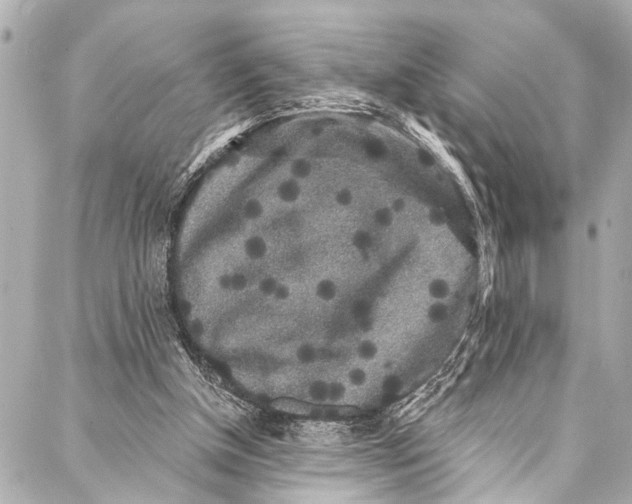 X0000086950154200705071452