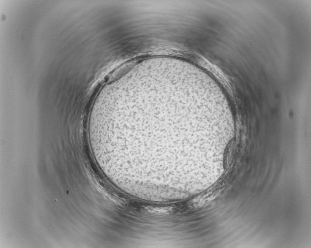 X0000086950155200705071452