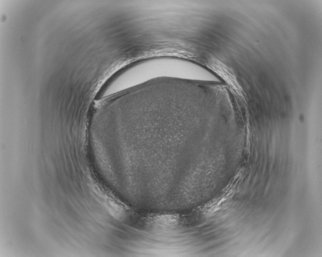 X0000086950156200705071452