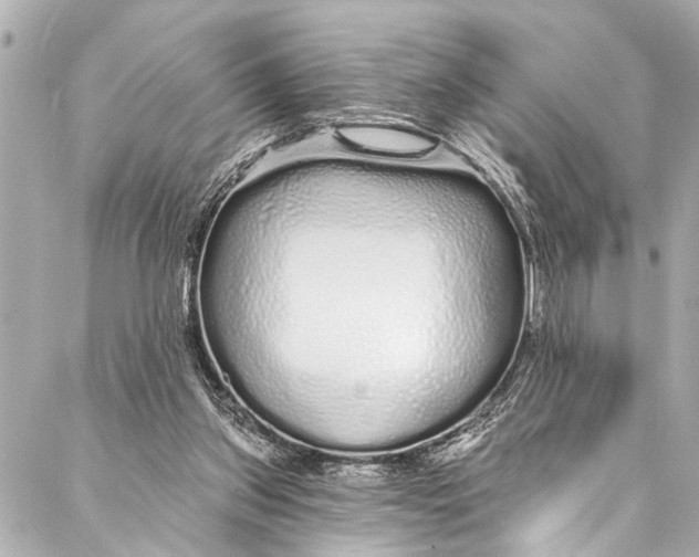 X0000086950157200705071452