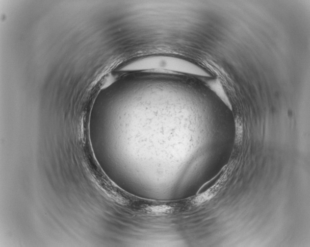 X0000086950158200705071452