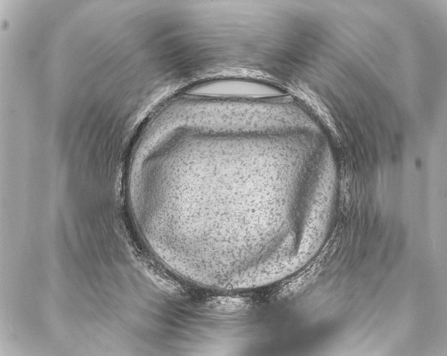 X0000086950159200705071452