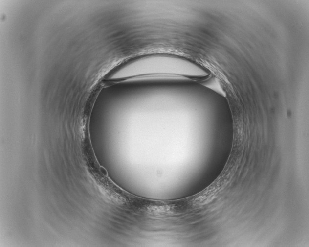 X0000086950160200705071452