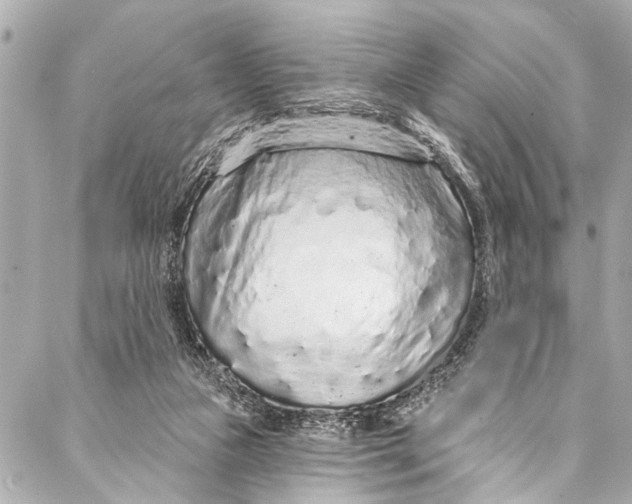 X0000086950161200705071452