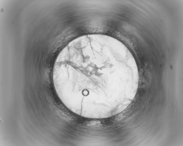 X0000086950162200705071452