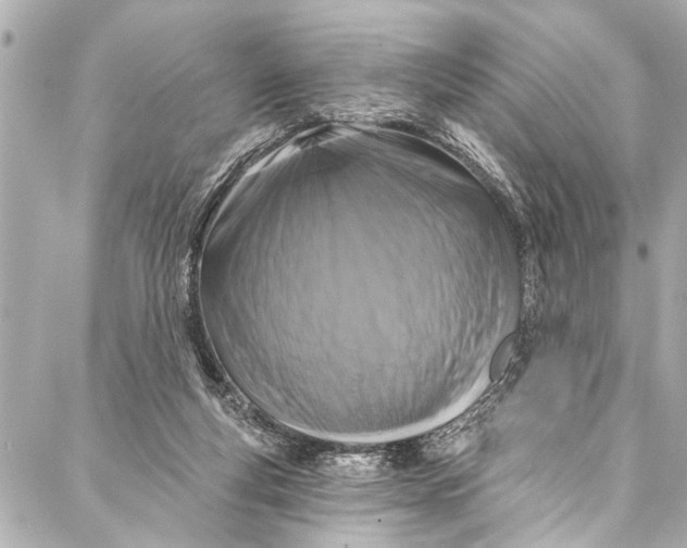 X0000086950163200705071452