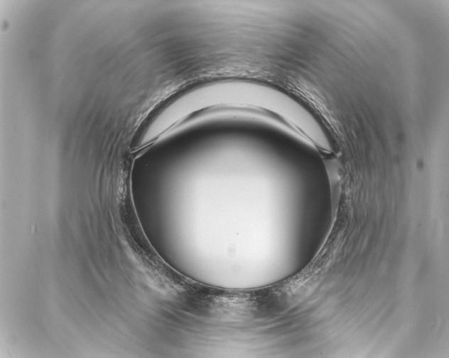 X0000086950164200705071452