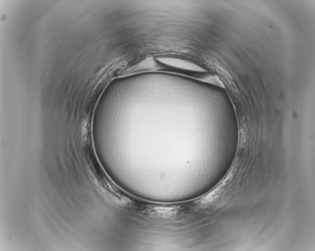 X0000086950166200705071452