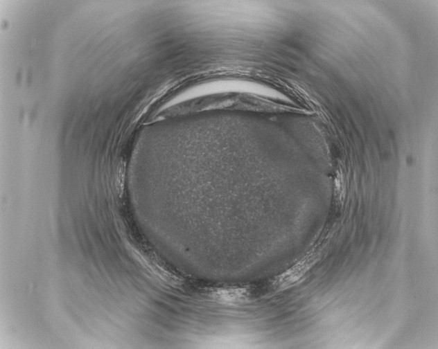 X0000086950168200705071452