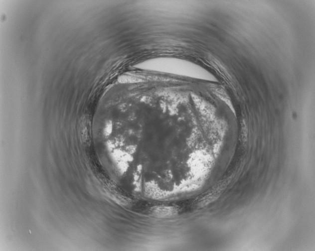 X0000086950169200705071452