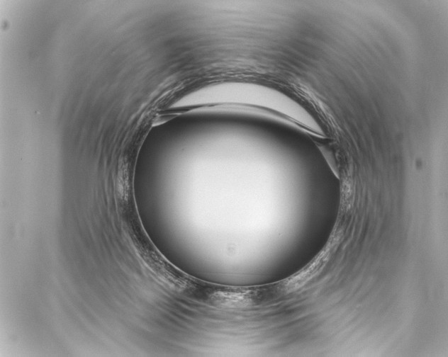 X0000086950170200705071452