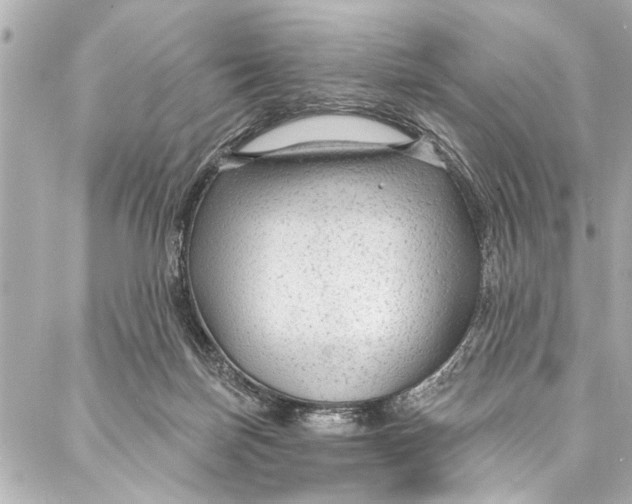 X0000086950171200705071452