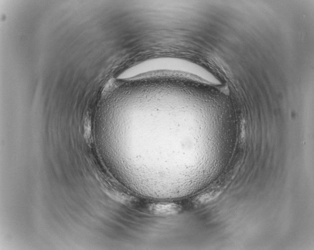 X0000086950173200705071452