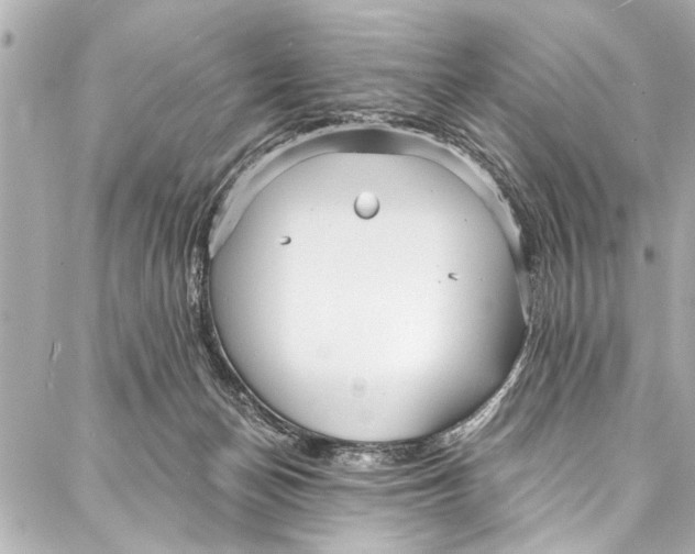 X0000086950174200705071452