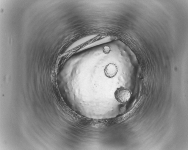 X0000086950175200705071452