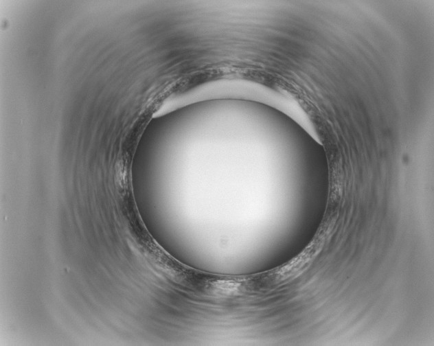 X0000086950176200705071452