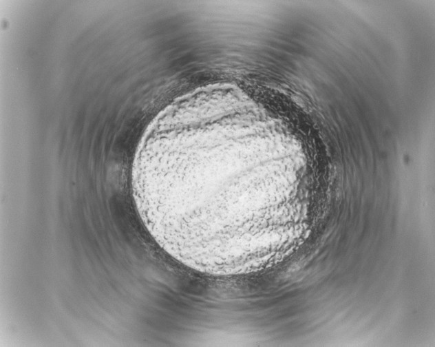 X0000086950177200705071452