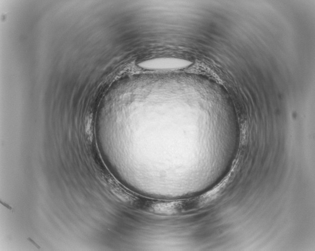 X0000086950178200705071452