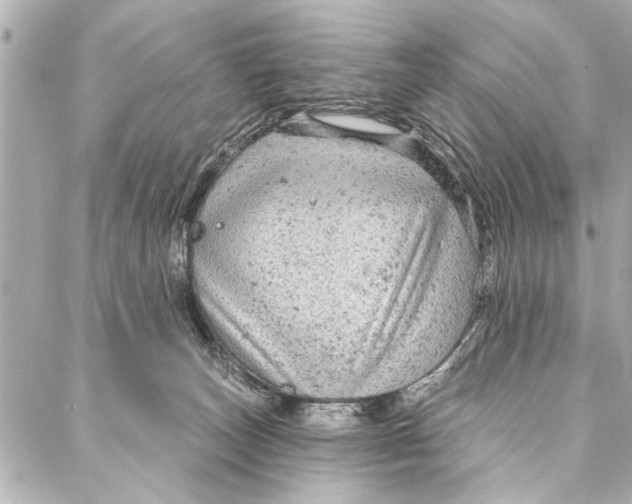 X0000086950179200705071452