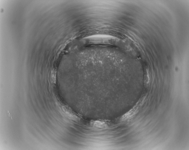 X0000086950180200705071452