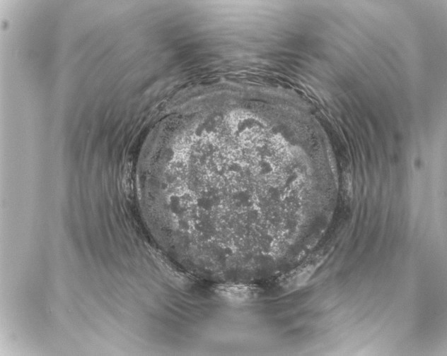 X0000086950181200705071452