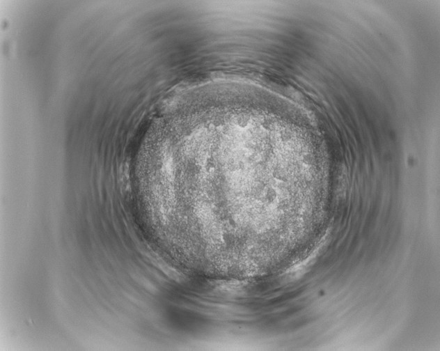 X0000086950182200705071452