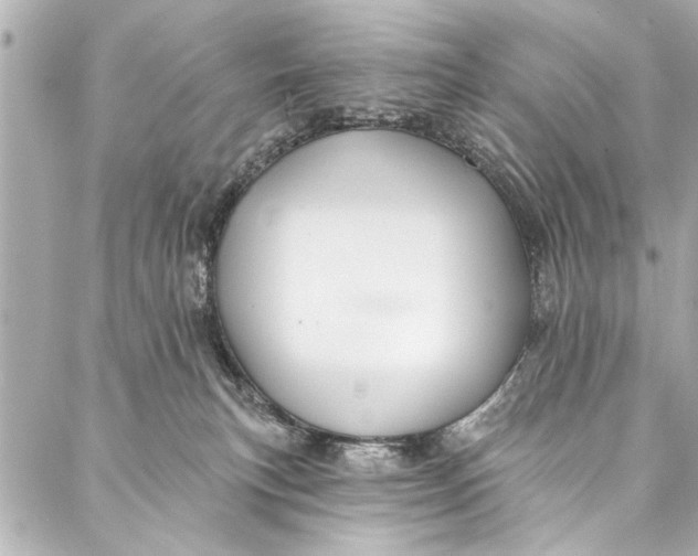 X0000086950183200705071452