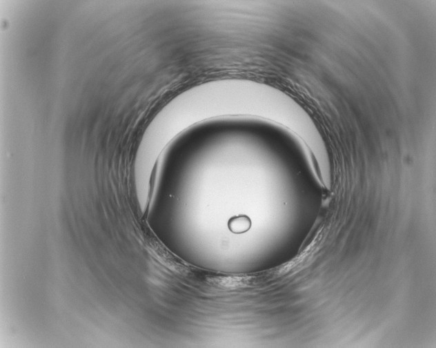 X0000086950184200705071452