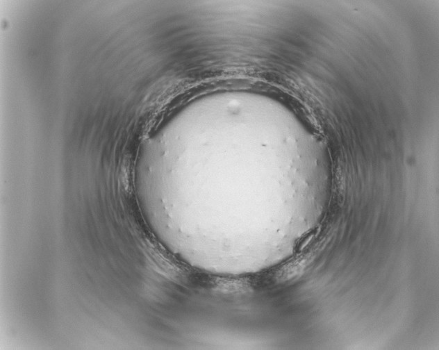 X0000086950185200705071452