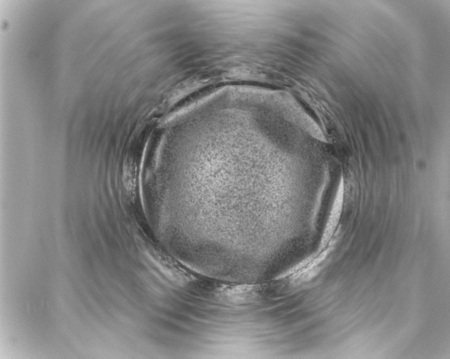 X0000086950186200705071452