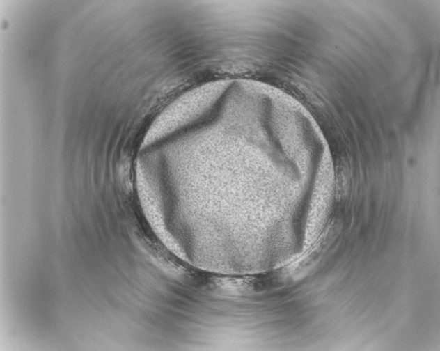 X0000086950187200705071452