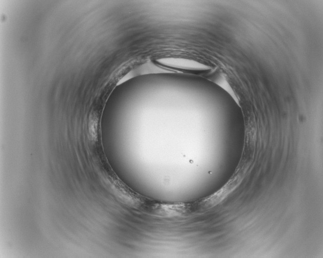 X0000086950188200705071452