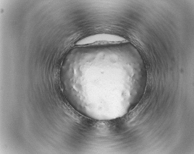 X0000086950189200705071452