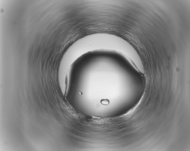 X0000086950190200705071452