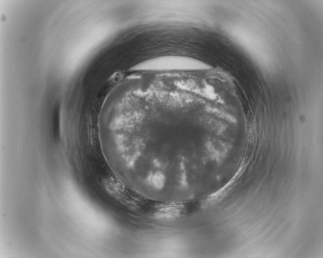 X0000086950191200705071452