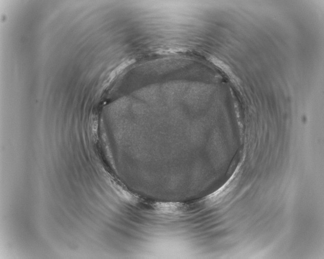 X0000086950192200705071452