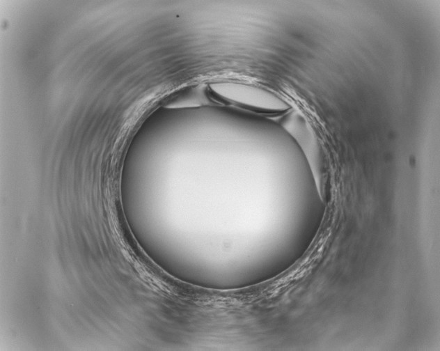 X0000086950193200705071451