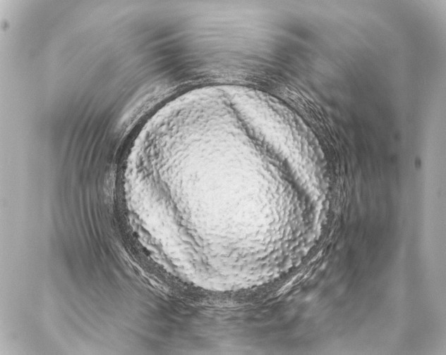 X0000086950194200705071451