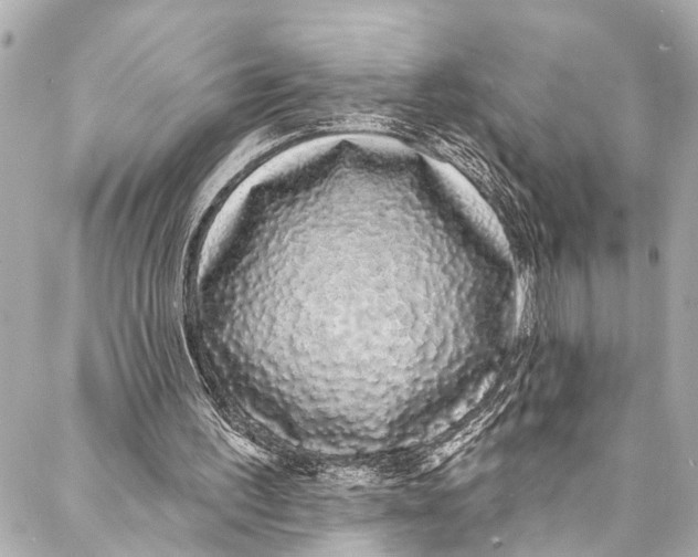 X0000086950195200705071451